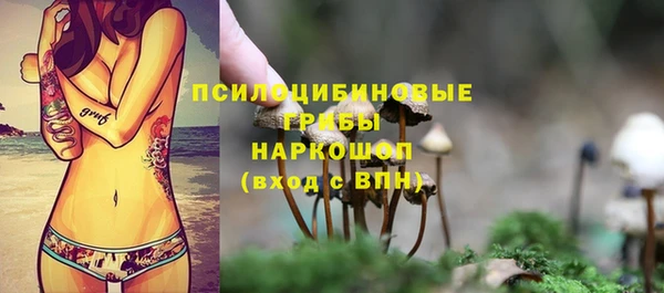 mdpv Арсеньев